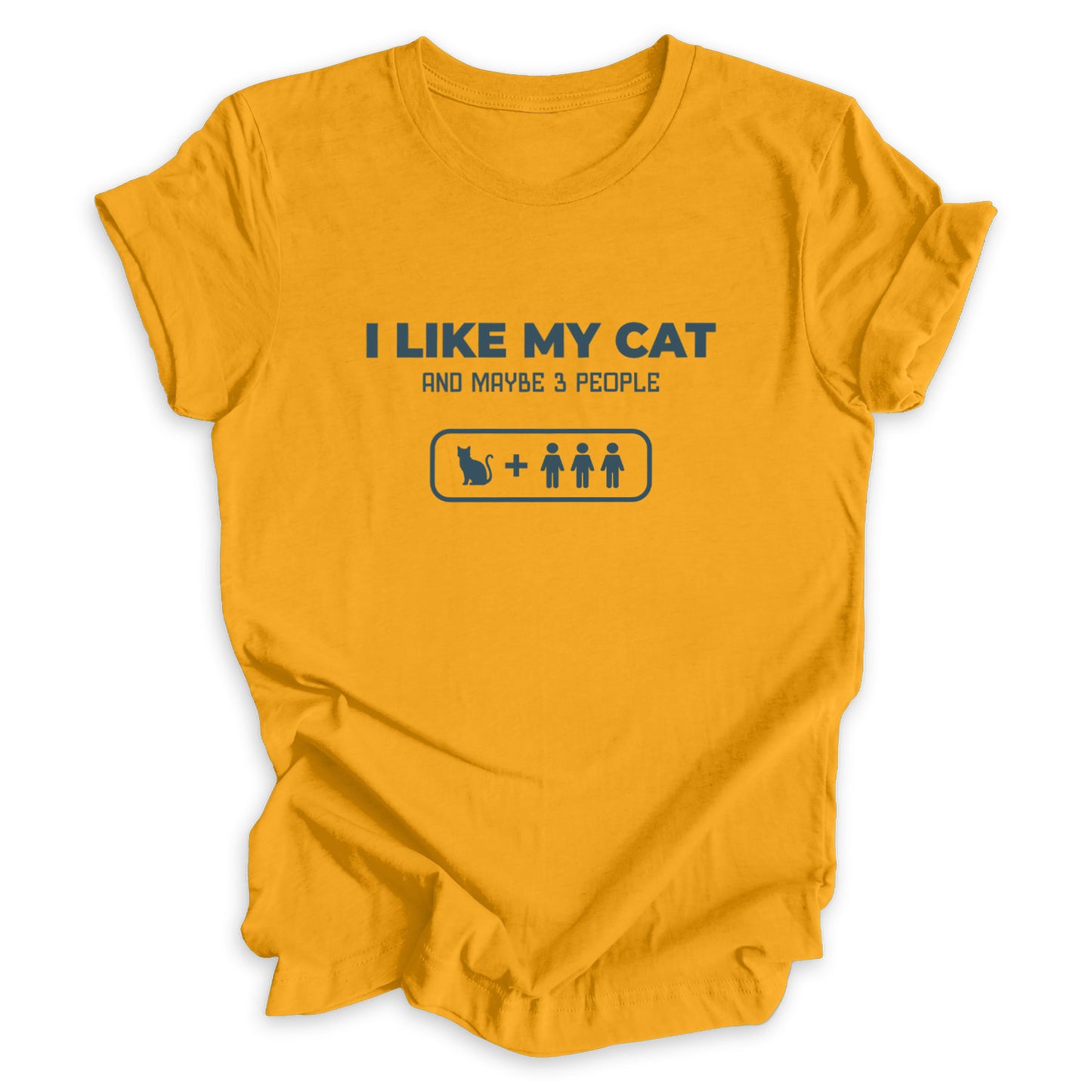 I Like My Cat And Maybe 3 People Tee